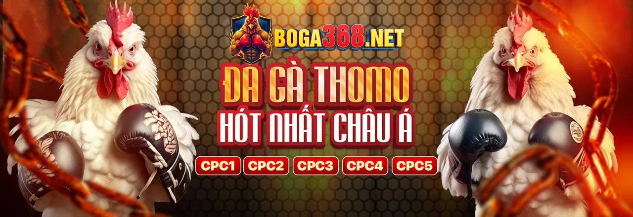 Đá Gà Trực Tuyến Hấp Dẫn tại e88 ball